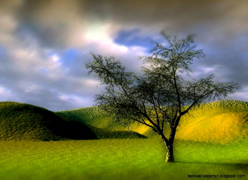 Www Santabanta Com Wallpapers Nature   HD Wallpapers Lovely