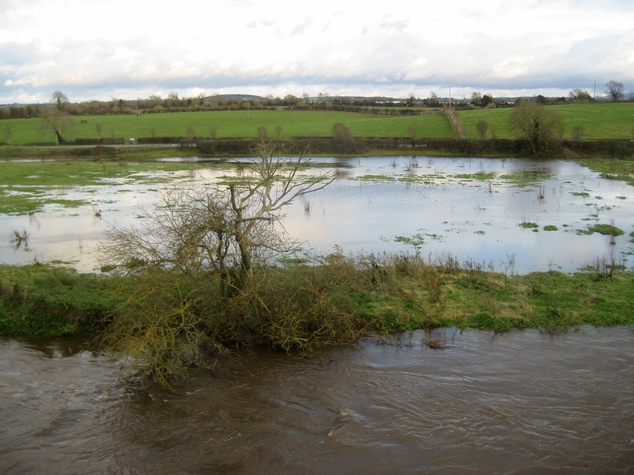 River Barrow Piker Flood Report