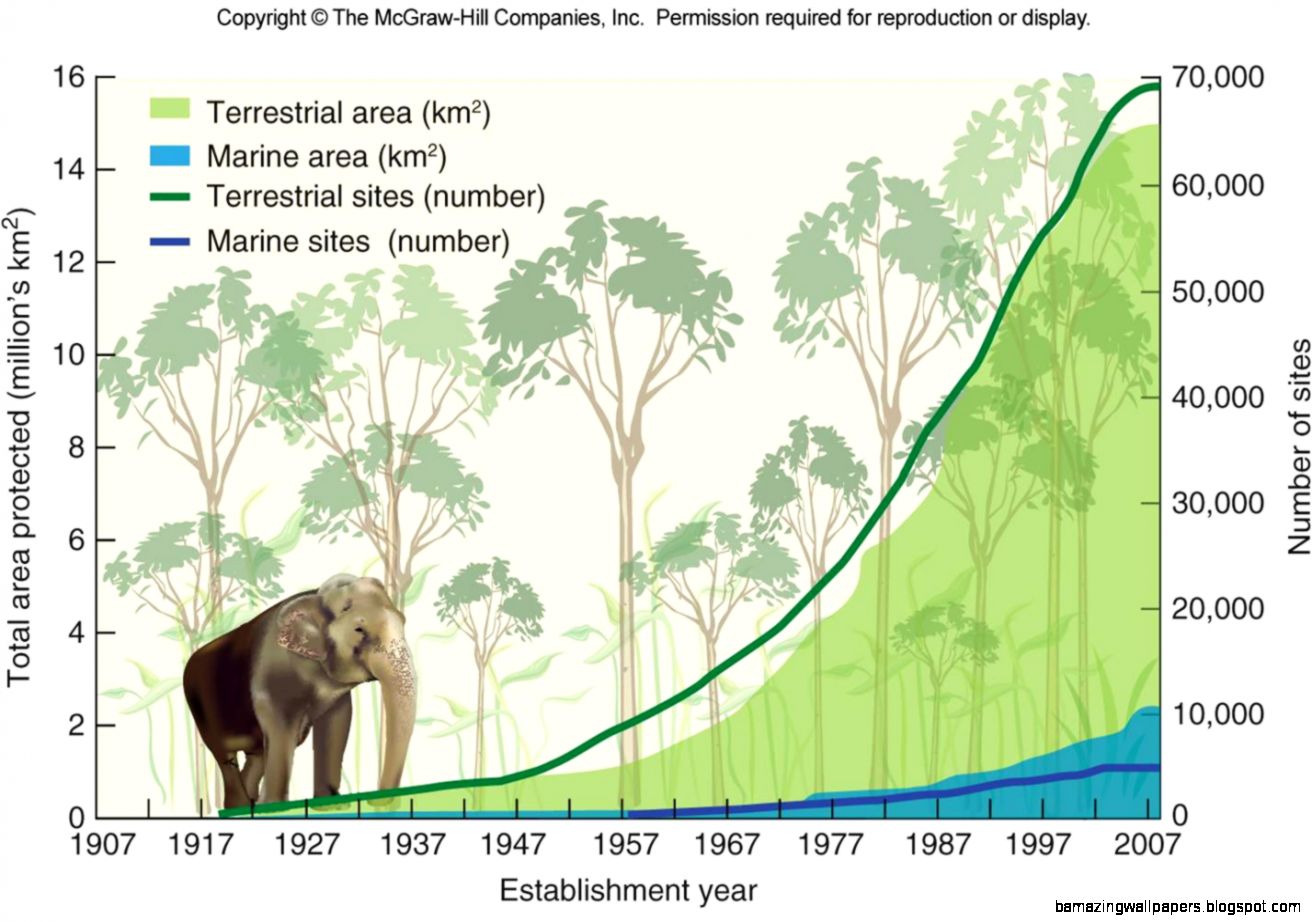 barrelracingbarbie  Just another  site