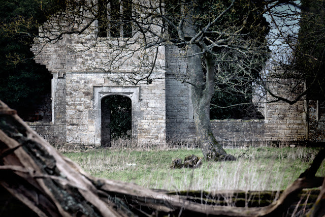 Manor house ruins at Hampton Gay by Martyn Ferry Photography
