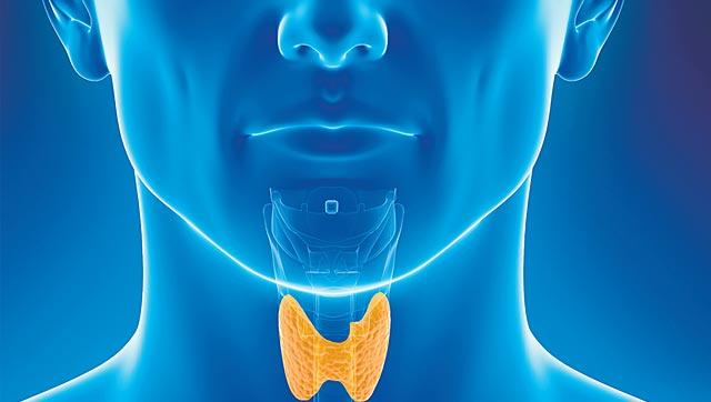 थायराइड ग्रंथि की समस्या और आयुर्वेदिक उपचार-Thyroid Gland Problems and Ayurvedic Remedies