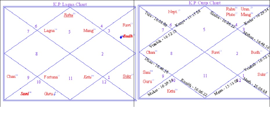 Free Nirayana Bhava Chalit Chart