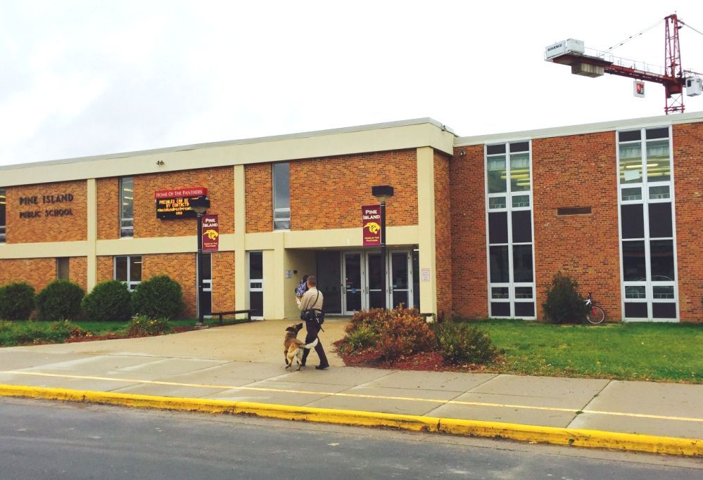 Pine Island, Minnesota Pine Island Minnesota