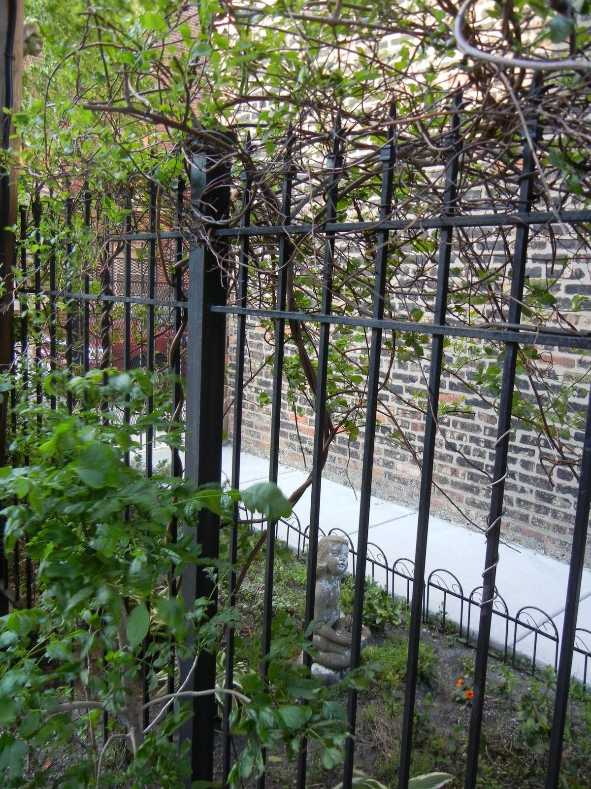 ChainLink Trellis Spotted Fairy Tale Garden