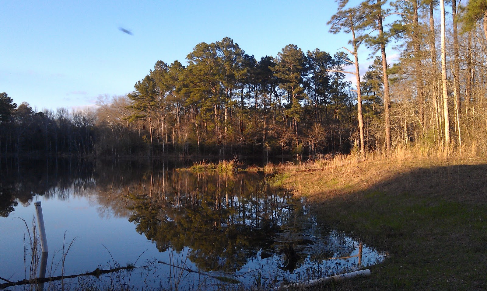 Tour De PACLANTIC Kinston Alabama, Arrival
