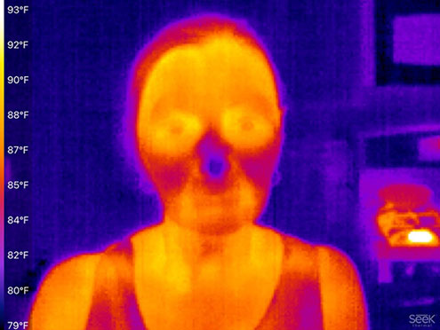 Resident Astronomer Peggy, minus 3rd eye, but with cold nose in IR (Source: Palmia Observatory)
