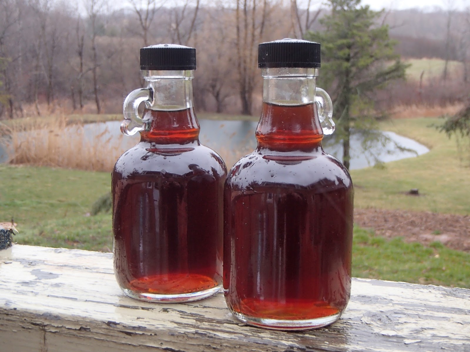 Ridge Berry Farm It's Time to Try Birch Syrup