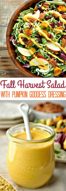 Pumpkin treats and pumpkin eats from blondies to alfredo to salads! 15 pumpkin recipes sure to satisfy.