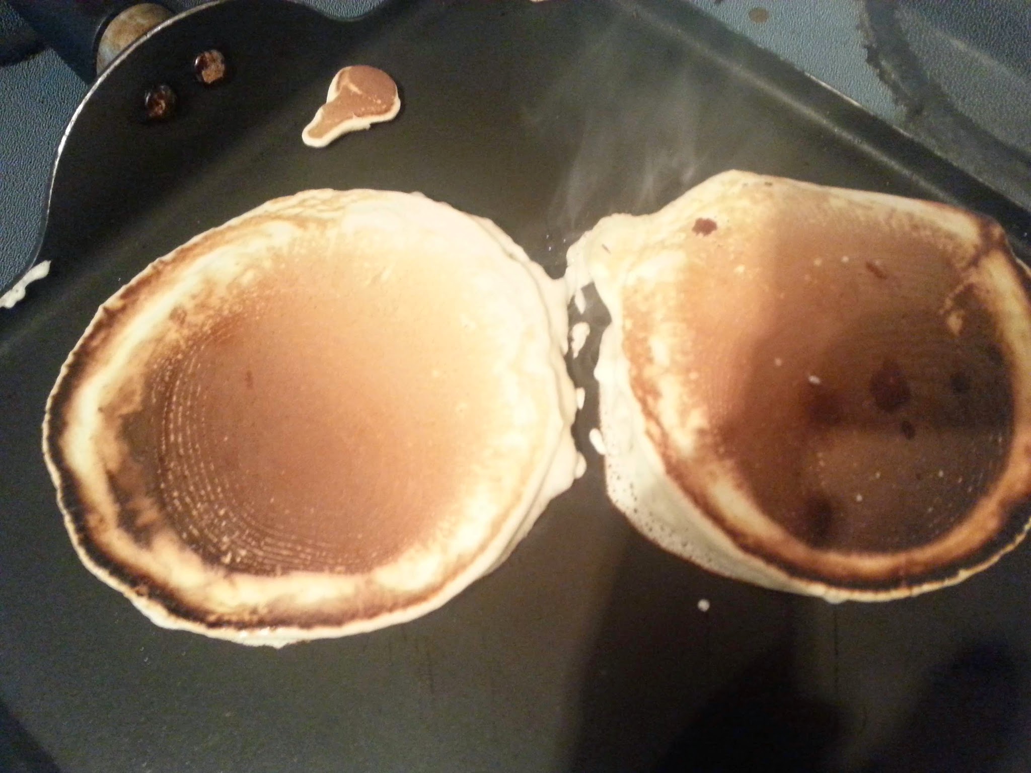 How to Make Freezer/Toaster Pancakes The Western New Yorker