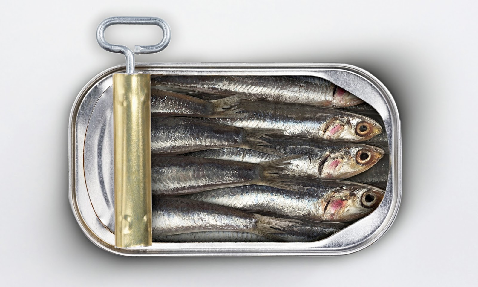 Are Canned Sardines Healthy for Your Body? Red Snapper Fish, Red