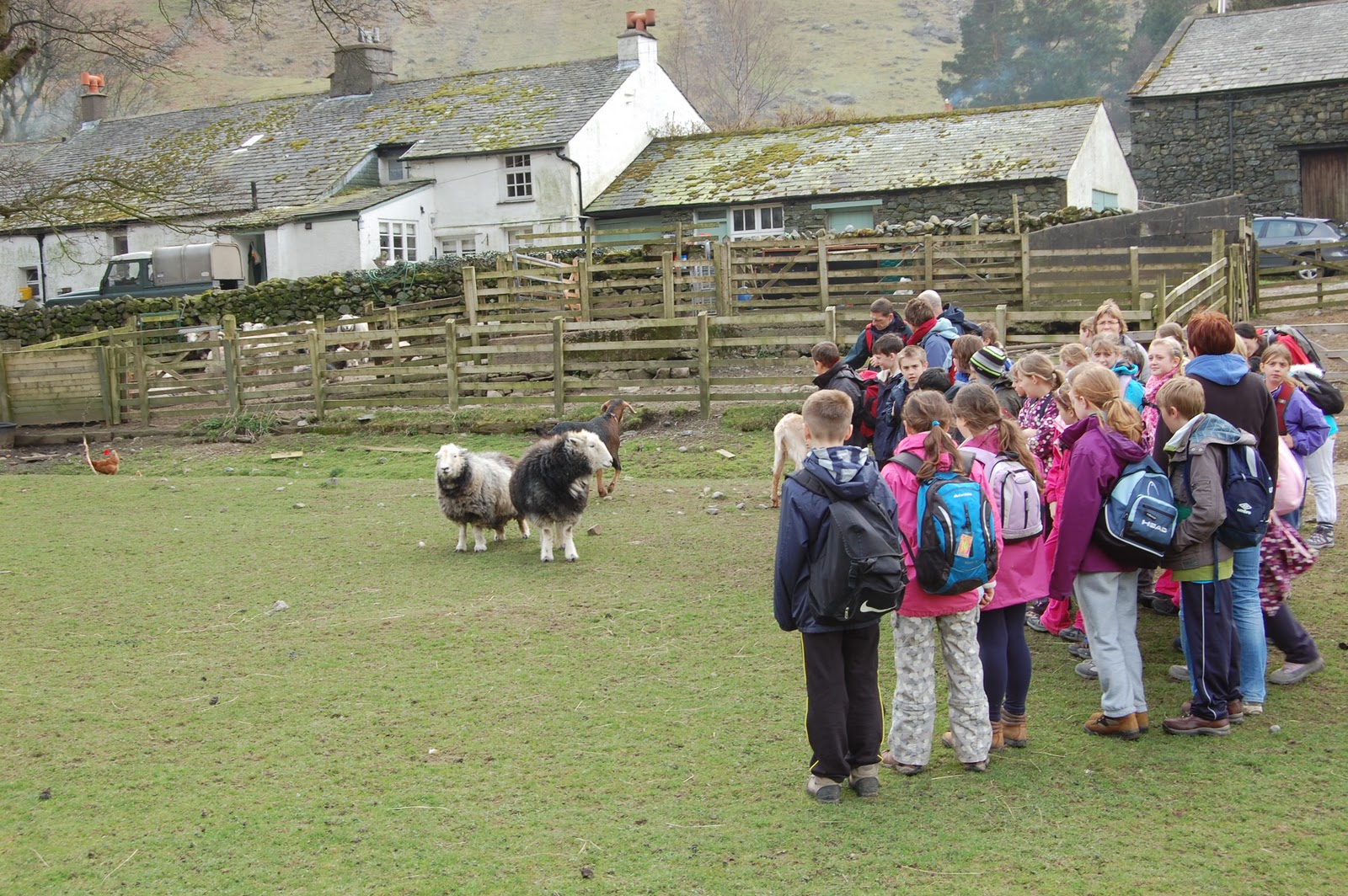 Ranger Roy National Trust Oaks and frogs to new homes. Children and