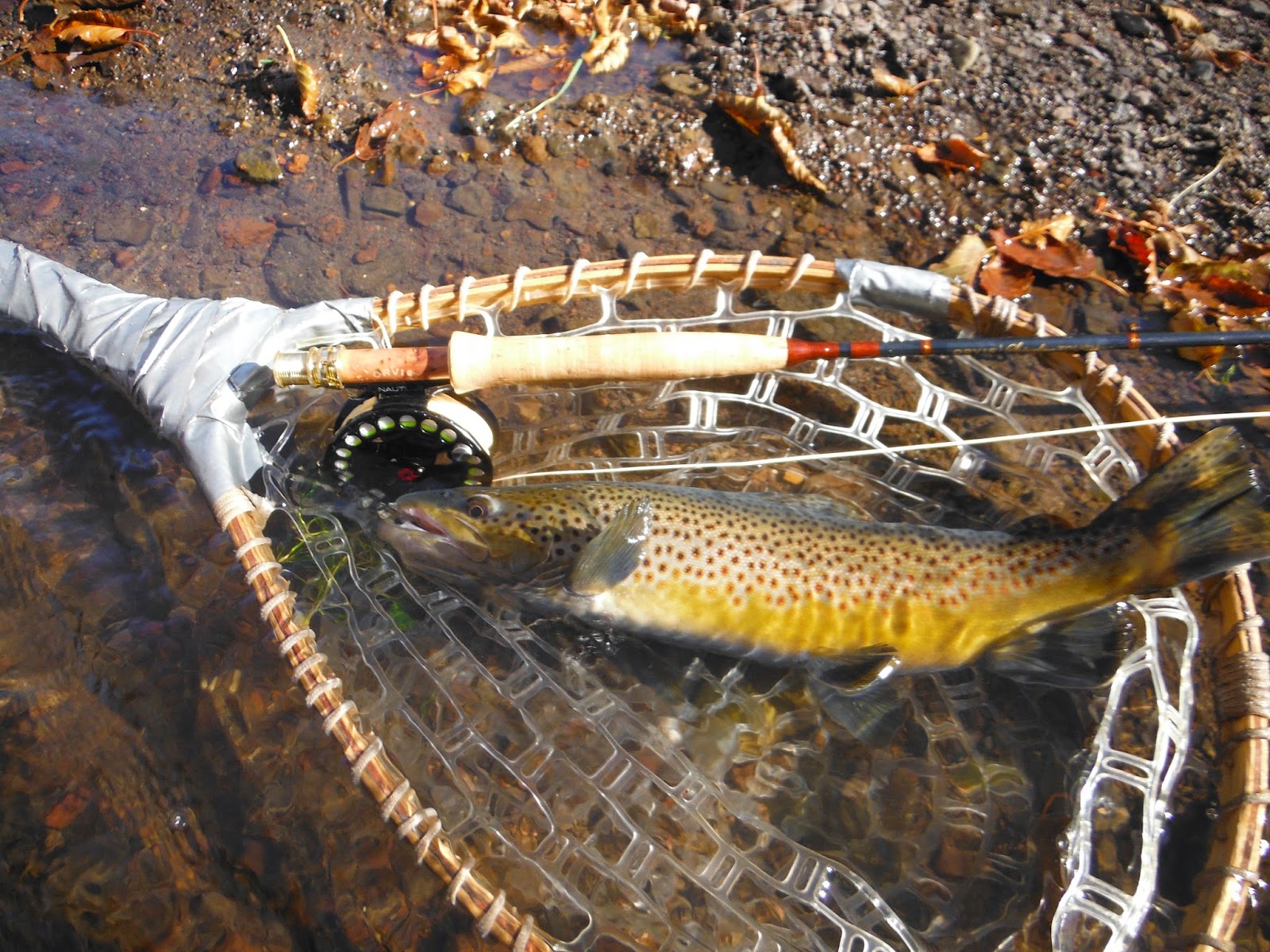 Southern Utah Fly Fishing ,Quiet Fly Fisher Guide Service & Fly Shop
