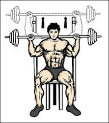 Shoulder press assis Shoulder press assis