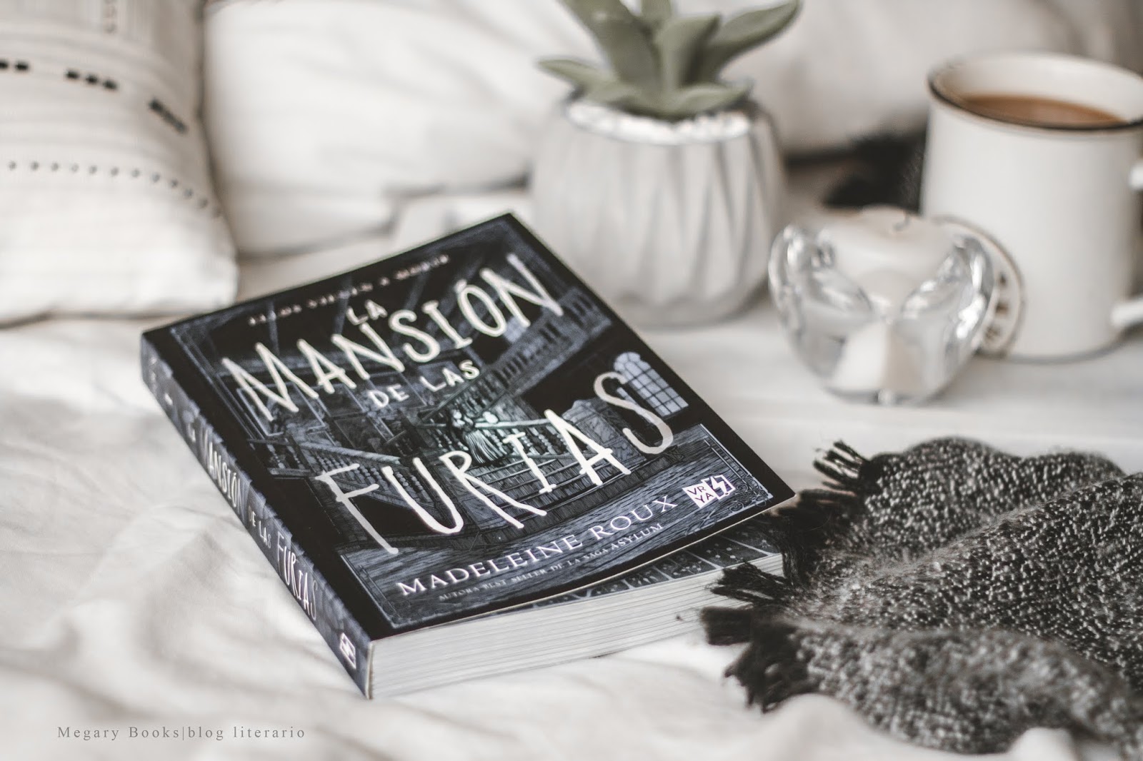 house of furies series house of furies series
