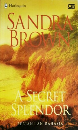 Novel