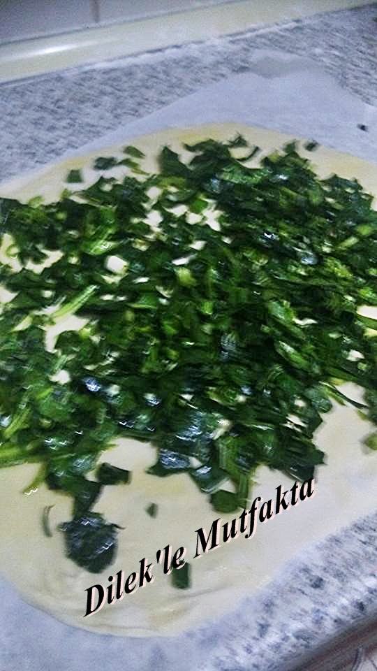 Dolamber Böreği Dilek�le Mutfakta