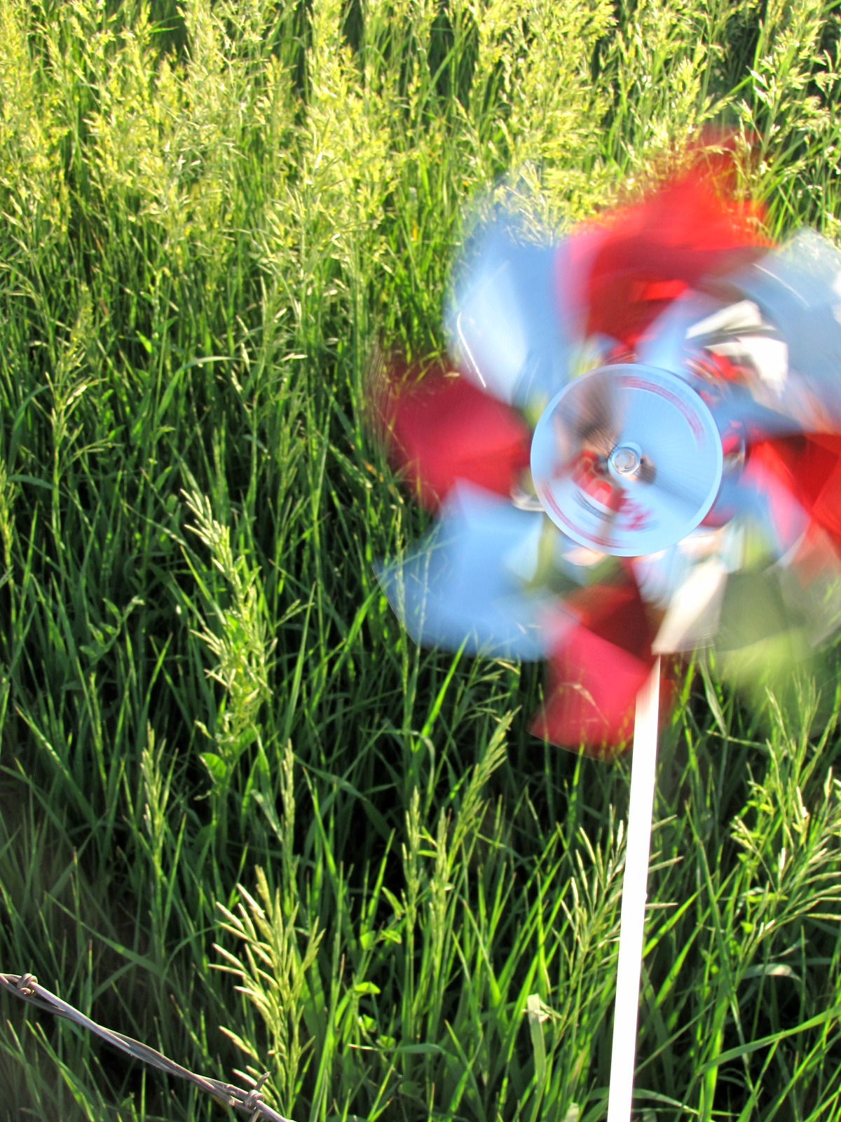 timeless reflections The Perfect Pinwheels