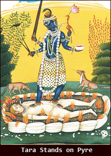 tara goddess maa tarapith rituals tantrik worship adore