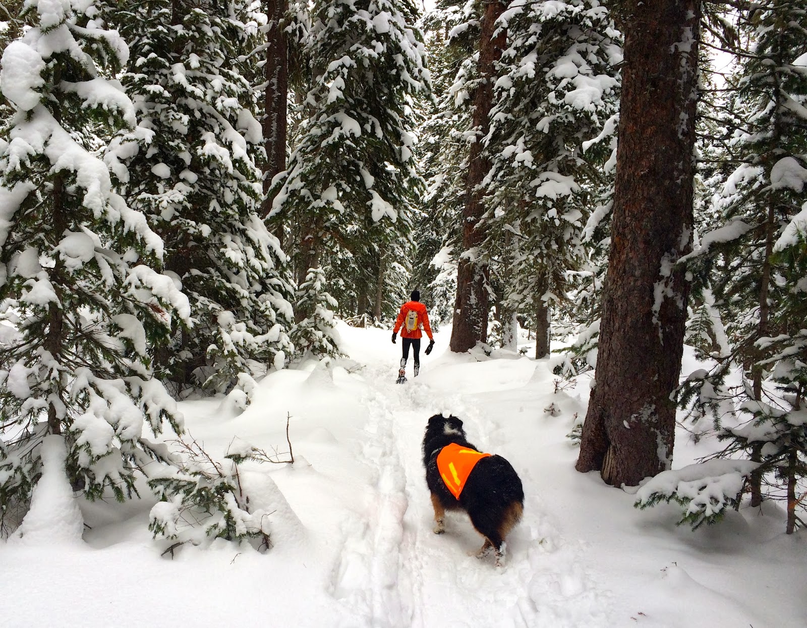 Colorado Adventures: Snowshoe Adventure on the South Boulder Creek Trail