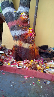 Nagula Panchami 2017 Date Nagula Panchami 2017 Date