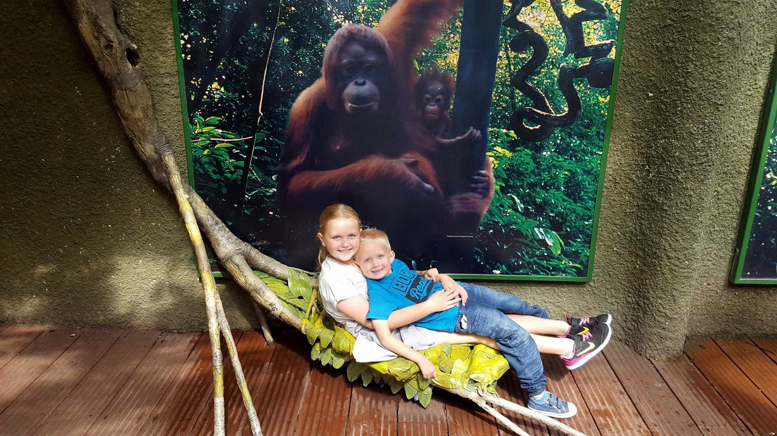 It's A Family Adventure! It's Time to Play! at Chester Zoo