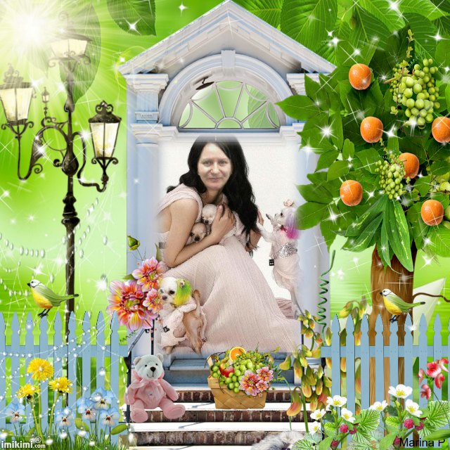 RADHARANI GAYATRI 's BLOG HOLISTIC PETS PARADISE CARE SERVICES