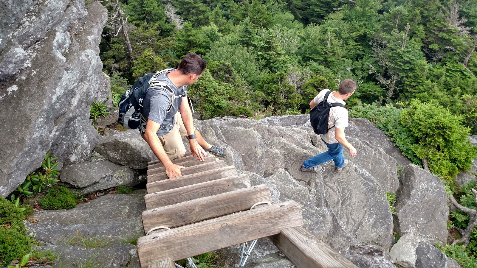 NC Waterfall Hikes Profile Trail to Grandfather Mountain