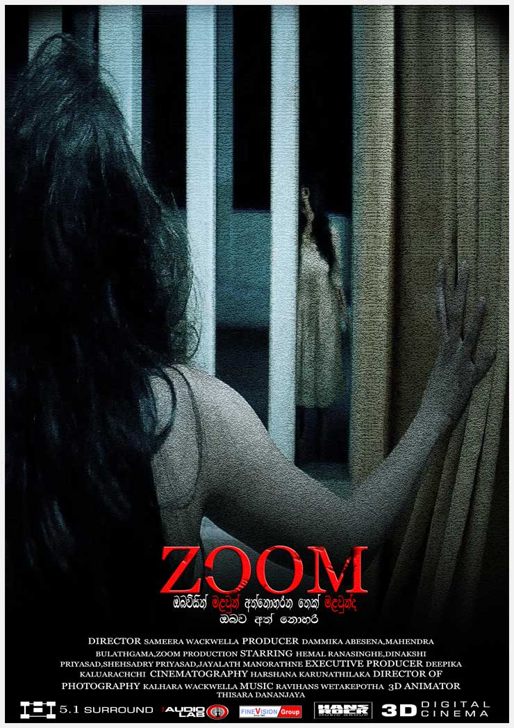 zoom scary movie