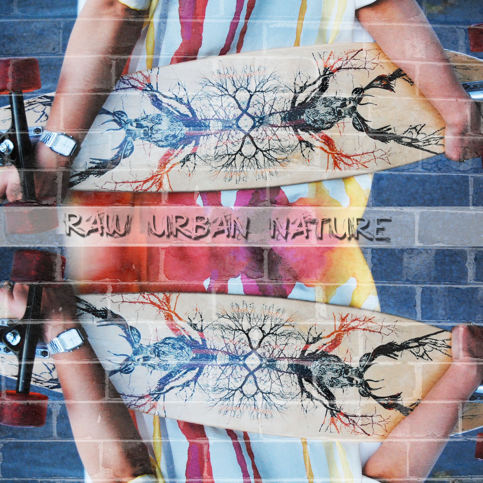 A Tale of Design Fitzroy Skate Shoot