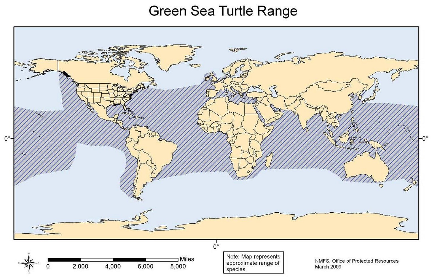Earth and Space News Vancouver Aquarium Reports Hypothermic Green Sea