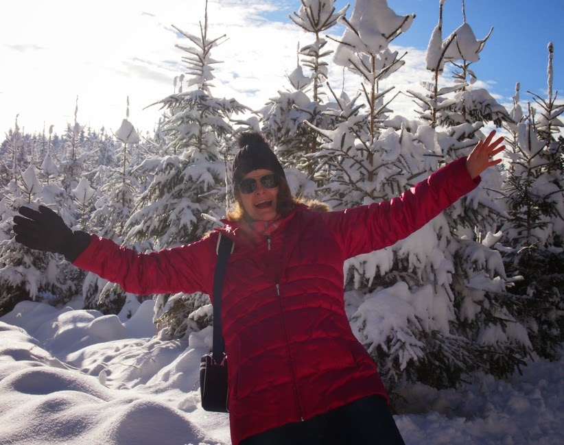 Damaris Liest Mai 2020