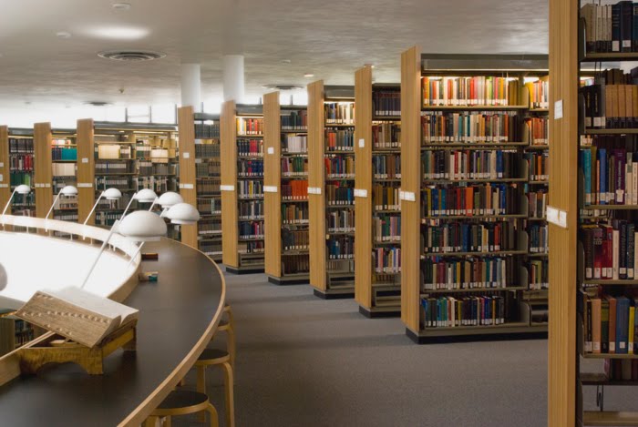 Library Stacks Types The Raisin Chronicles: Life in Nine Dimensions