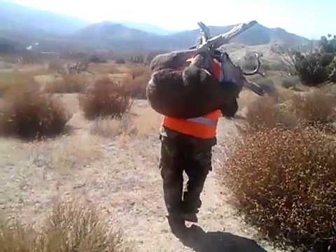 Resultado de imagen de a cargar el venado