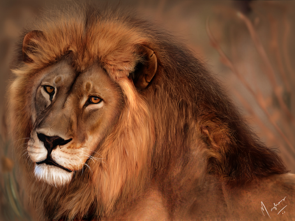 download lion king in the jungle download lion king in the jungle