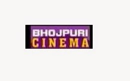 Bhojpuri Cinema channel added on DD Free Dish @ Channel No.14