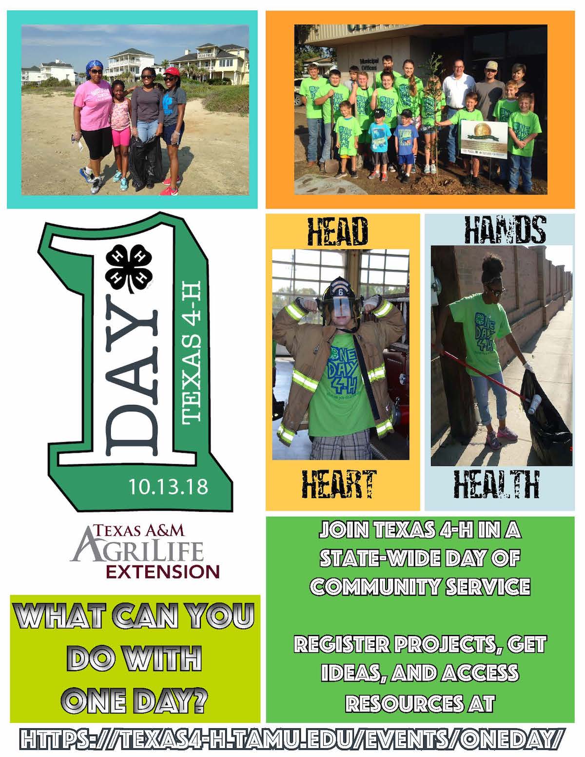 Texas 4H Practitioner's Blog Western National Roundup Report