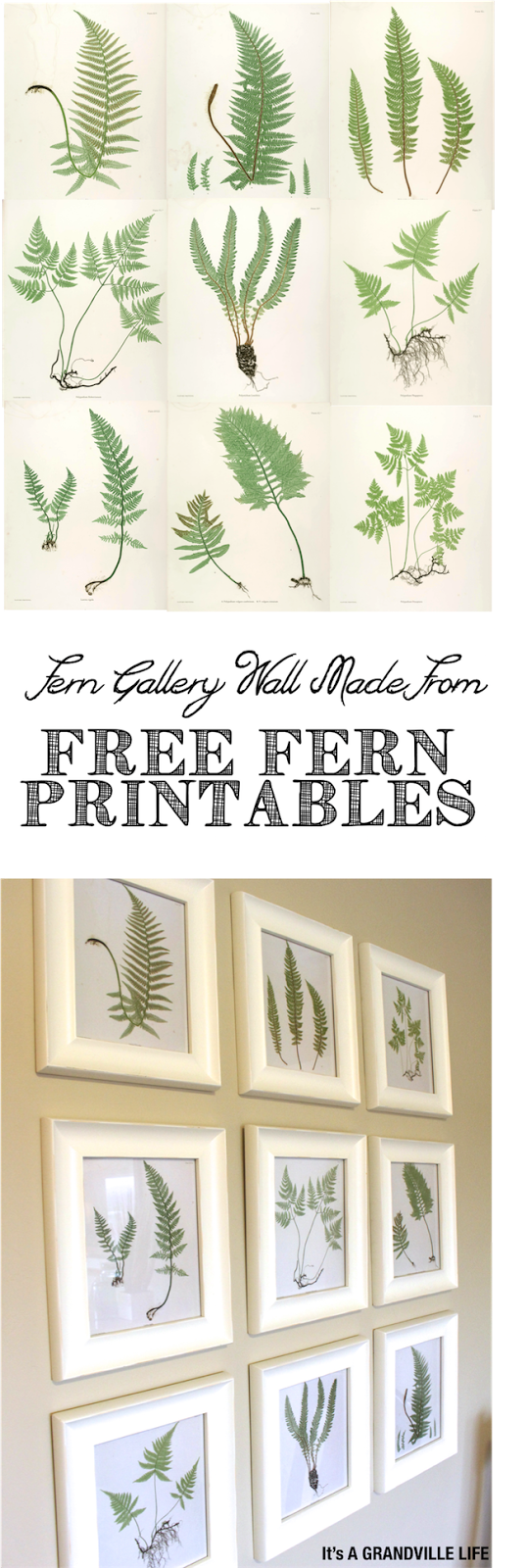 It S A Grandville Life Gallery Wall Free Fern Printables