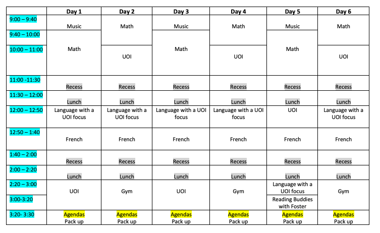 Daily Schedule