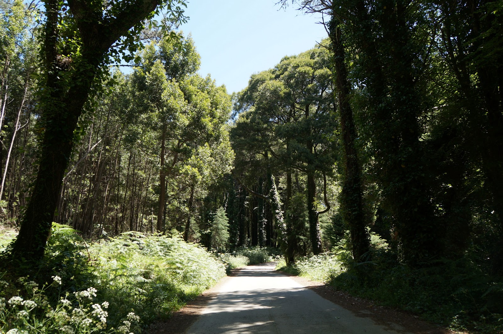 Serra de Sintra - Portugal