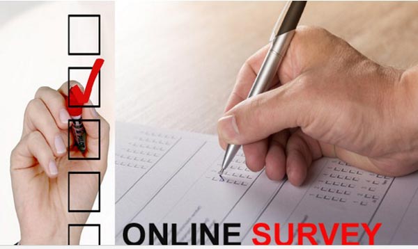 Online Survey Kya Hota Hai-Top 14 Survey Websites