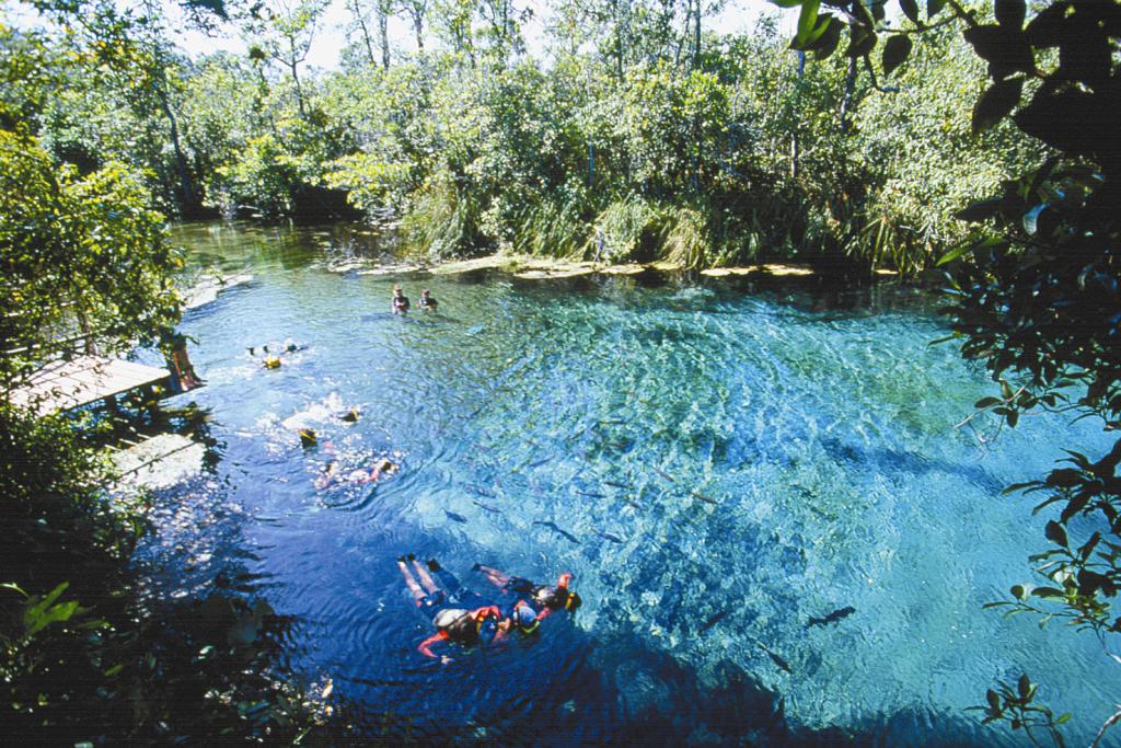 Bonito Pantanal MS Portal não esquecer de visitar o Rio da Prata e a Lagoa Misteriosa Bonito Pantanal MS Portal não esquecer de visitar o Rio da Prata e a Lagoa Misteriosa