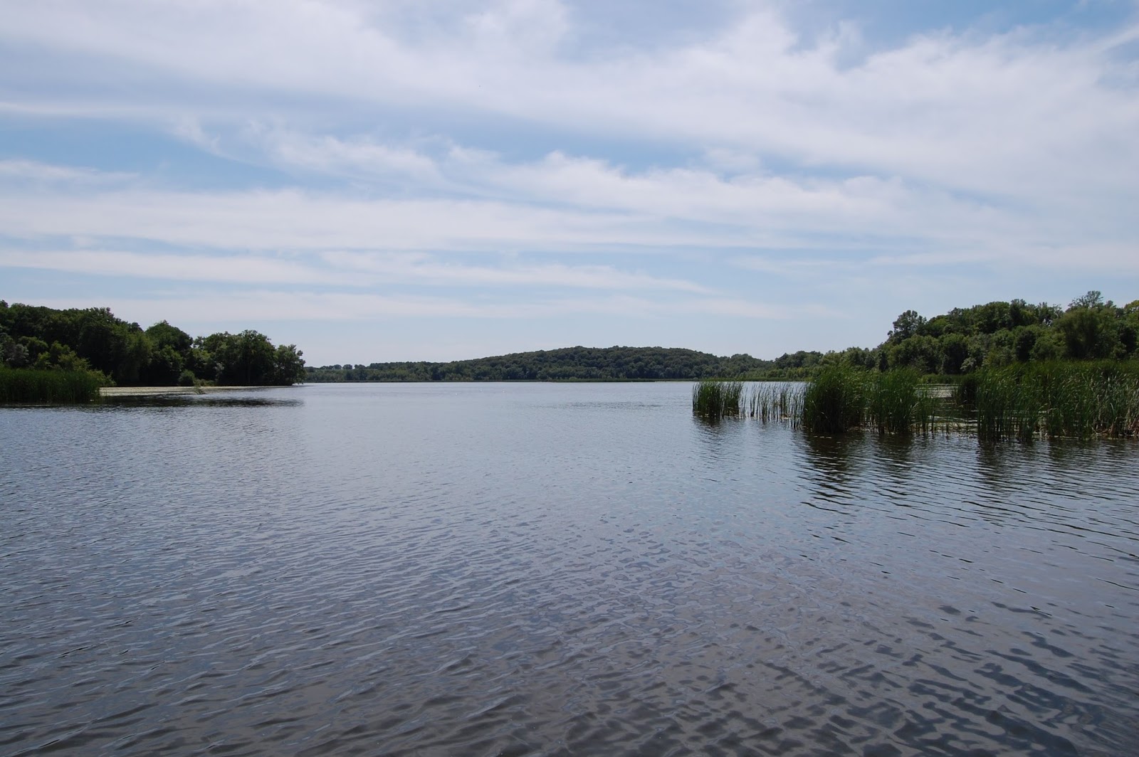 Shields Lake, Rice County, MN
