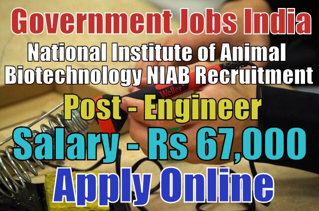 National Institute of Animal Biotechnology NIAB Recruitment 2017 |  Government Jobs India - JobsGovInd