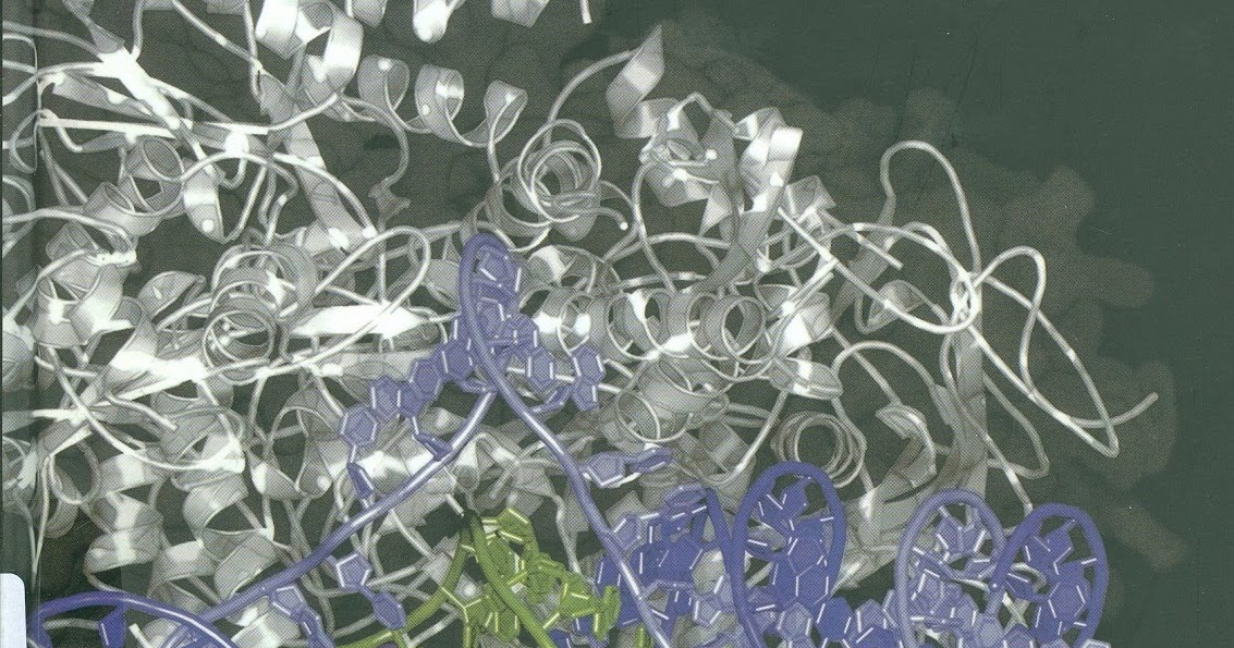 Bioquimica