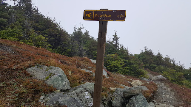 Au sommet du Pic de l'Aube