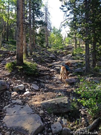 Backpacking to Amethyst Lake, Uintas, Hiking in Utah with Dogs
