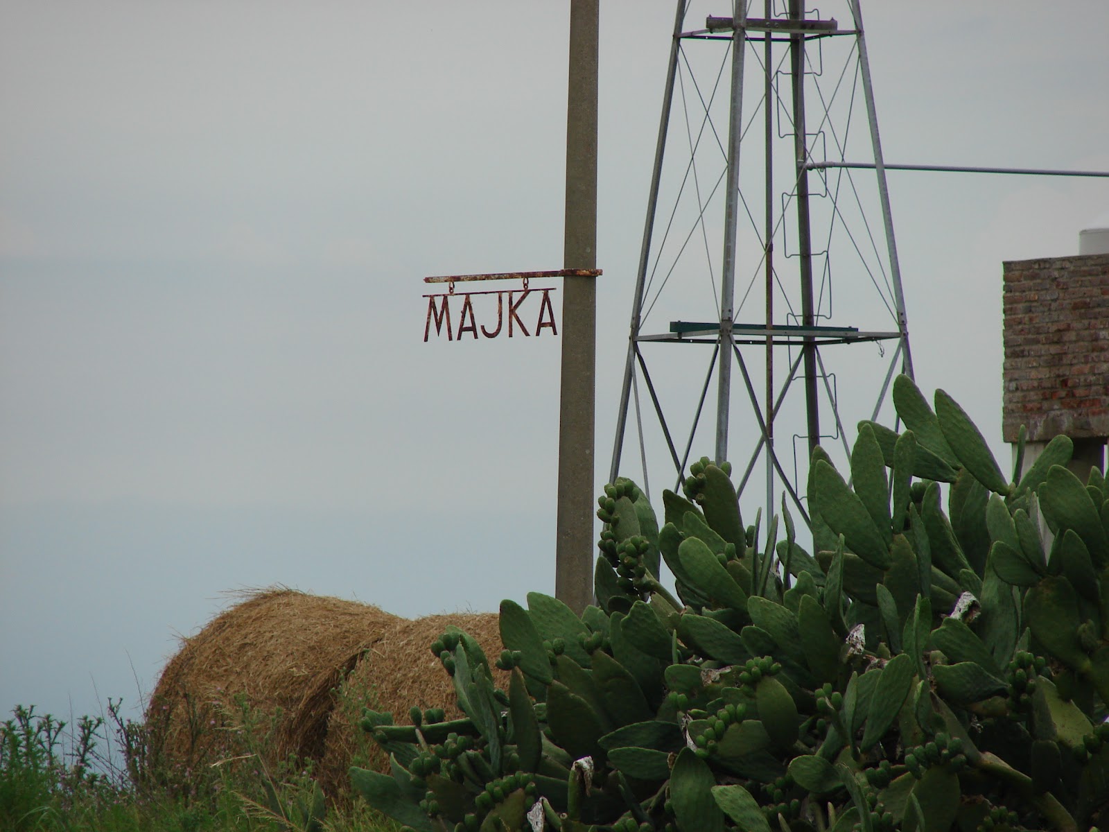 Studia Croatica Huellas Croatas Cerca de Villa Mugueta Majka