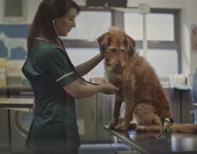 dogs trust ad song