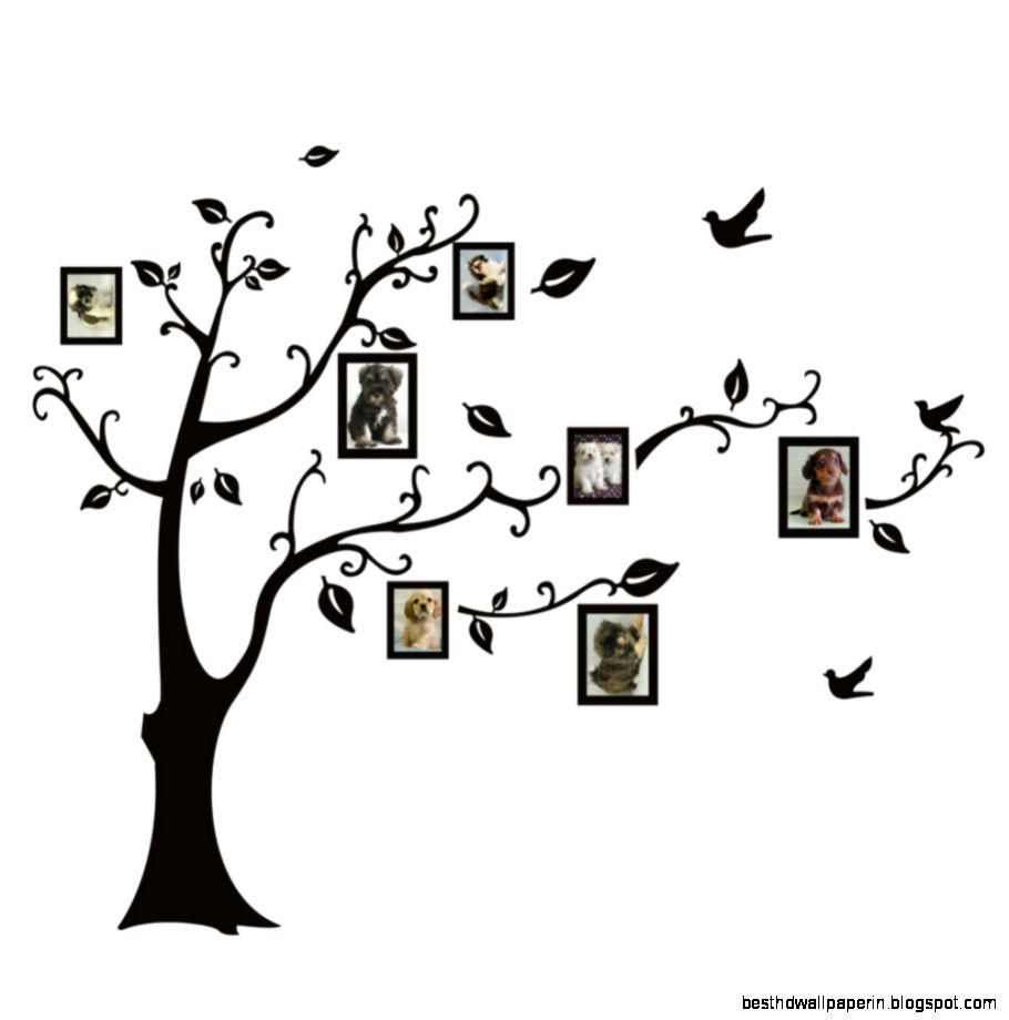 2015 Hot Sale Creative Eco friendly DIY Photo Tree Mural Wallpaper