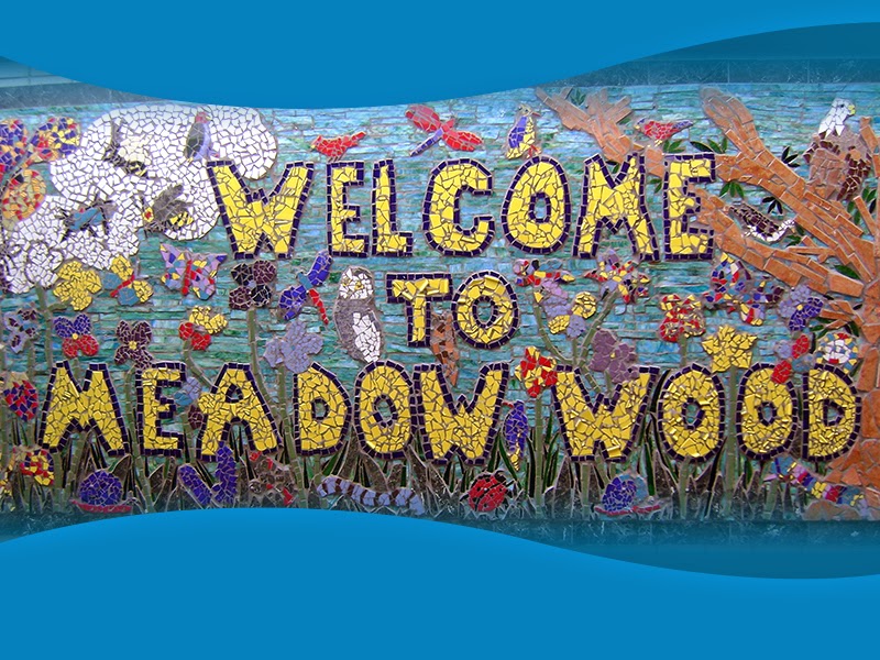 Meadow Wood Elementary Preps for 50th Birthday The School Zone